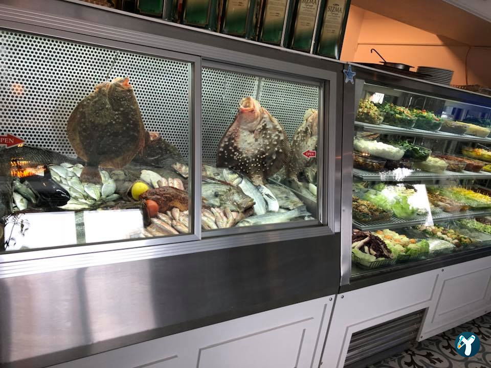 Alaçatı Balıkçısı Ataşehir