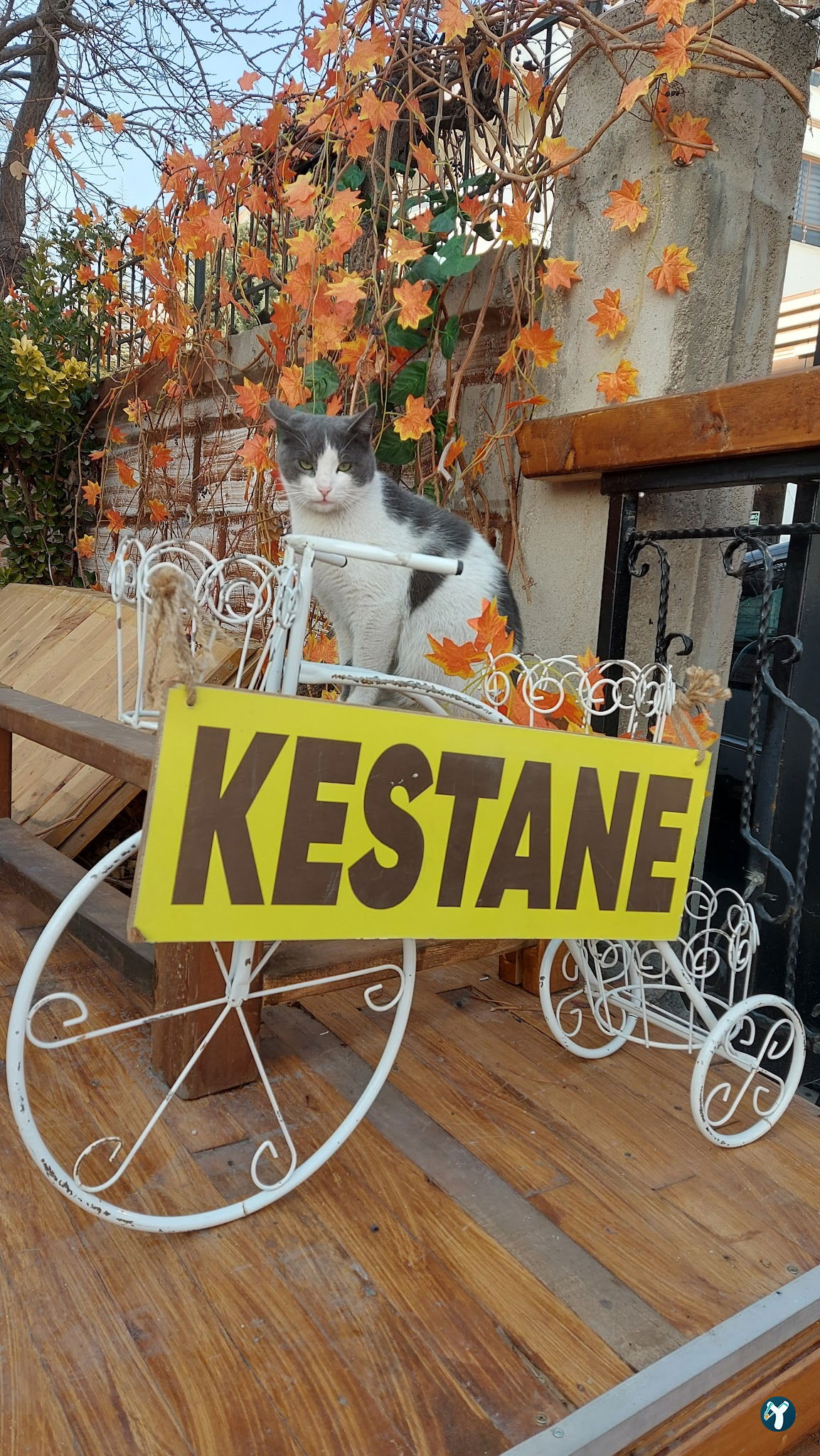 Kestane Cafe