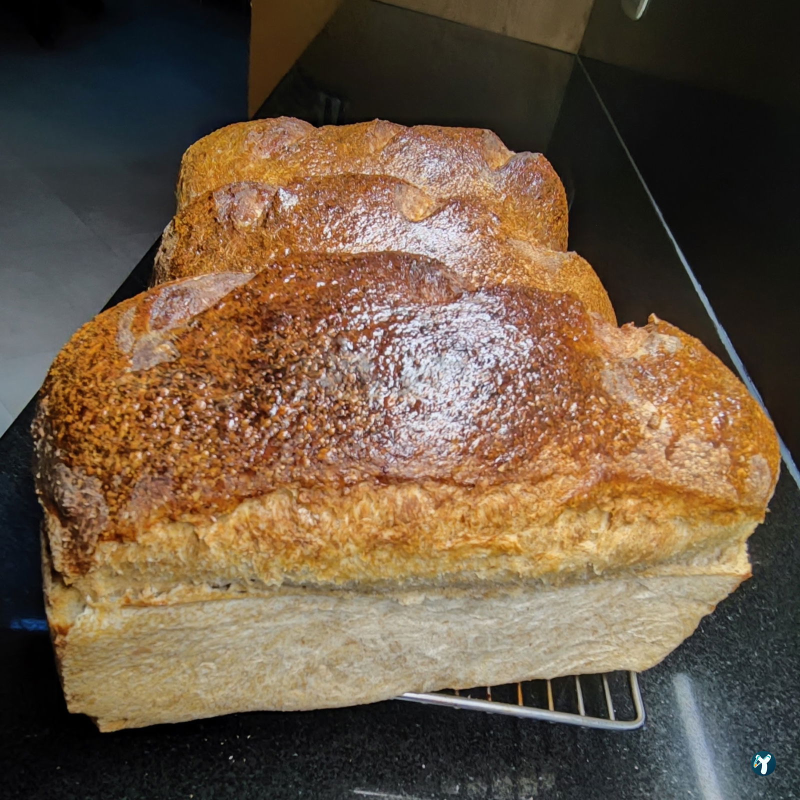 Faik Pasha Cafe, Brasserie, Patisserie