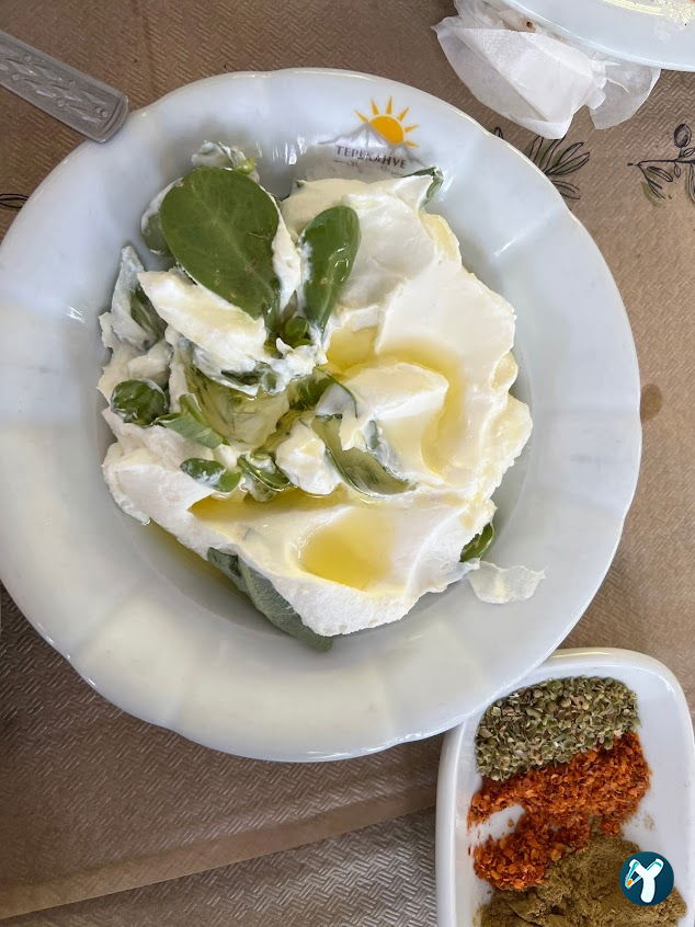 Muhtarın Yeri