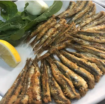 BIZIM BALIKCI resimleri
