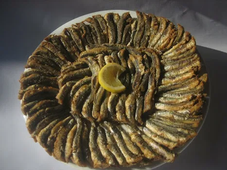 BIZIM BALIKCI resimleri