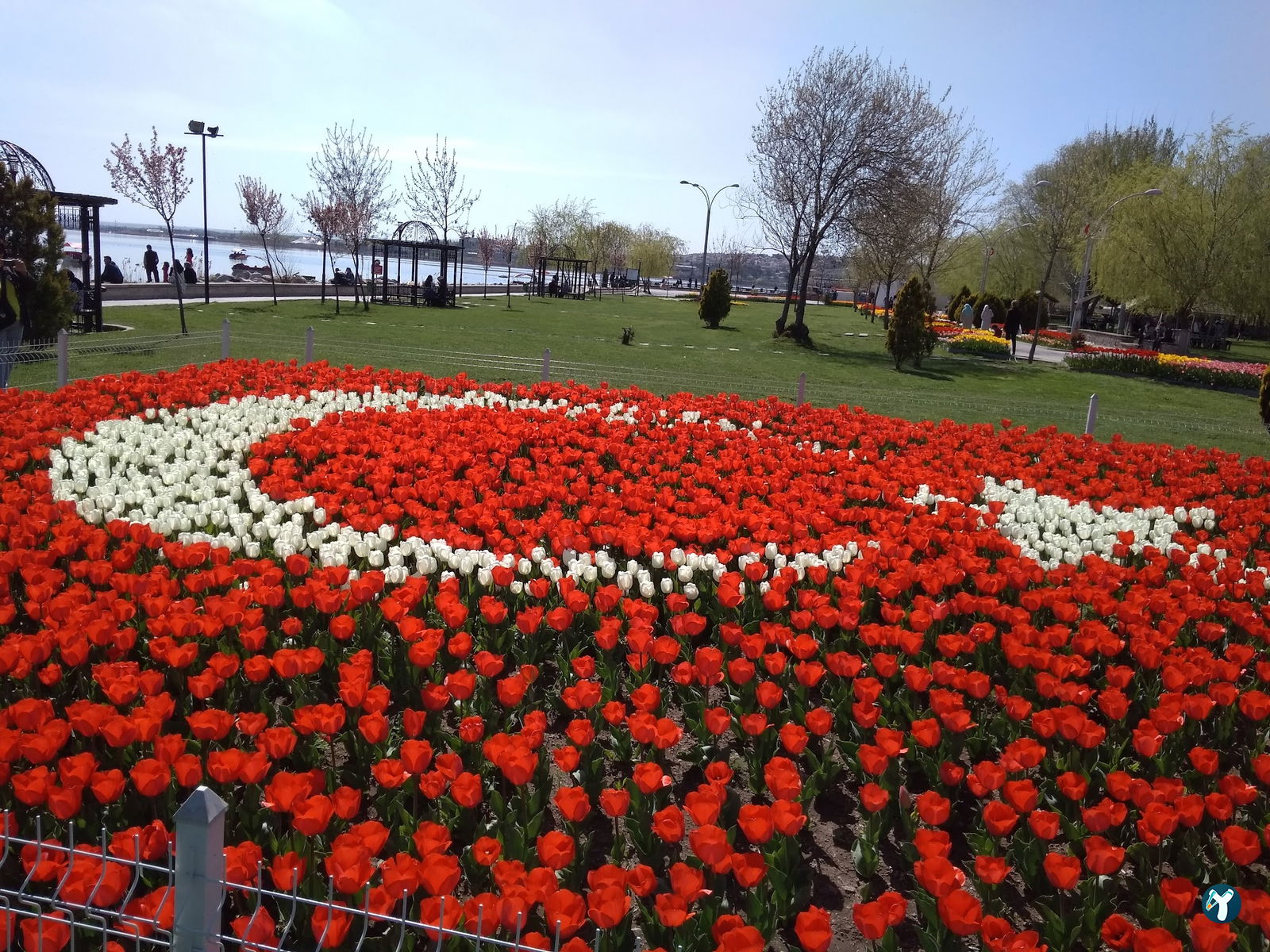 Mogan Aile Çay Bahçesi