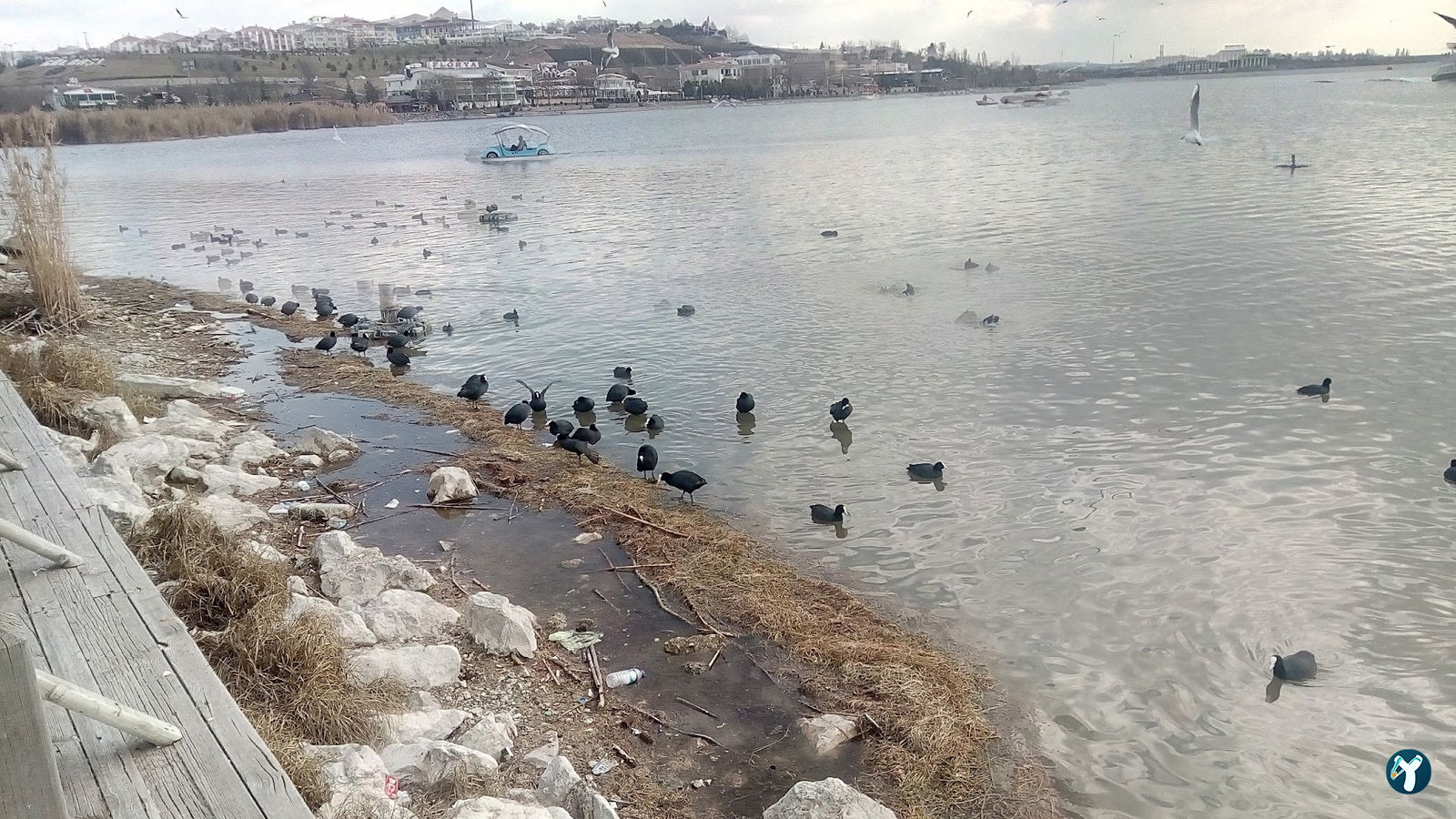 Mogan Aile Çay Bahçesi