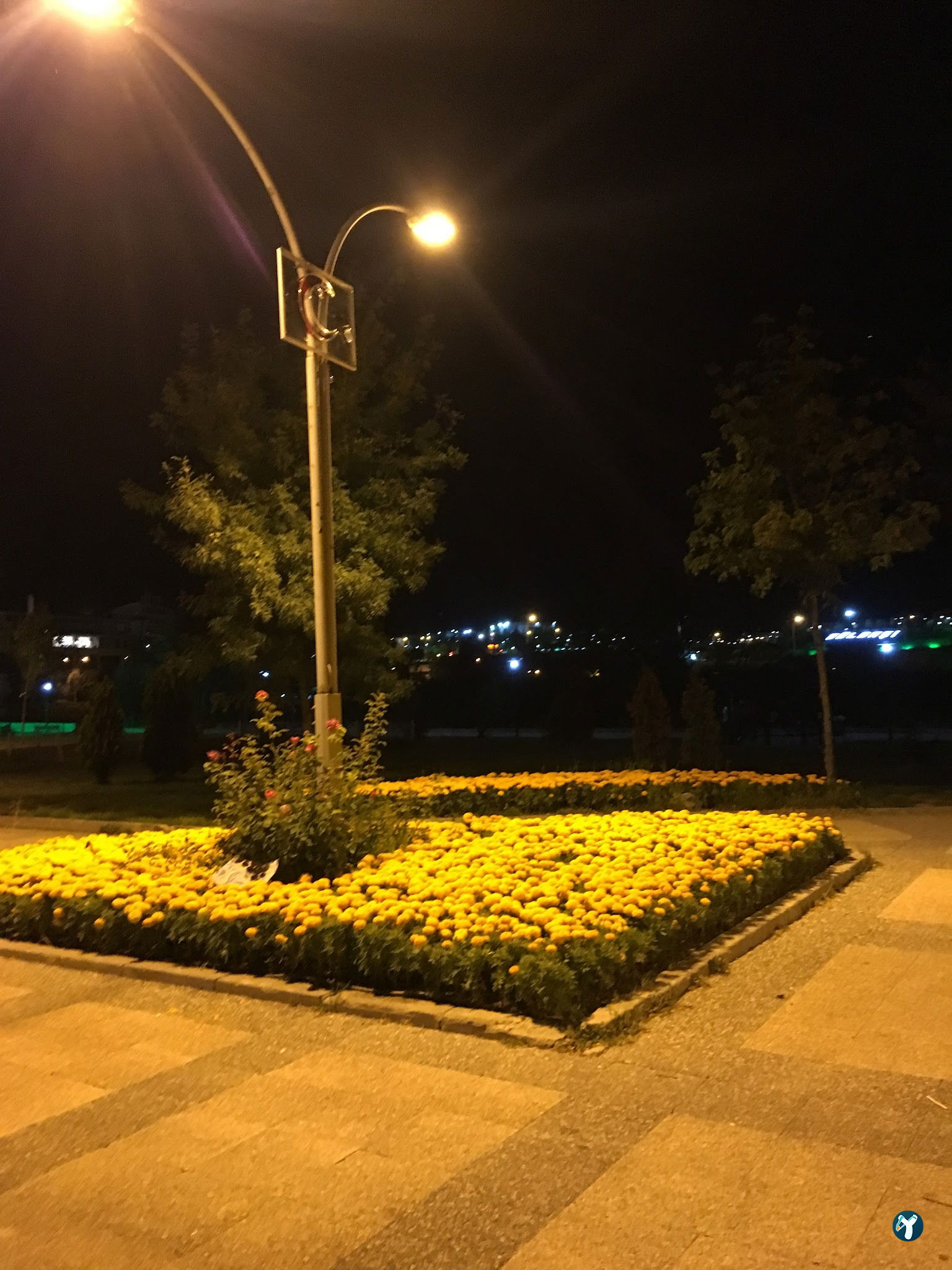 Mogan Aile Çay Bahçesi