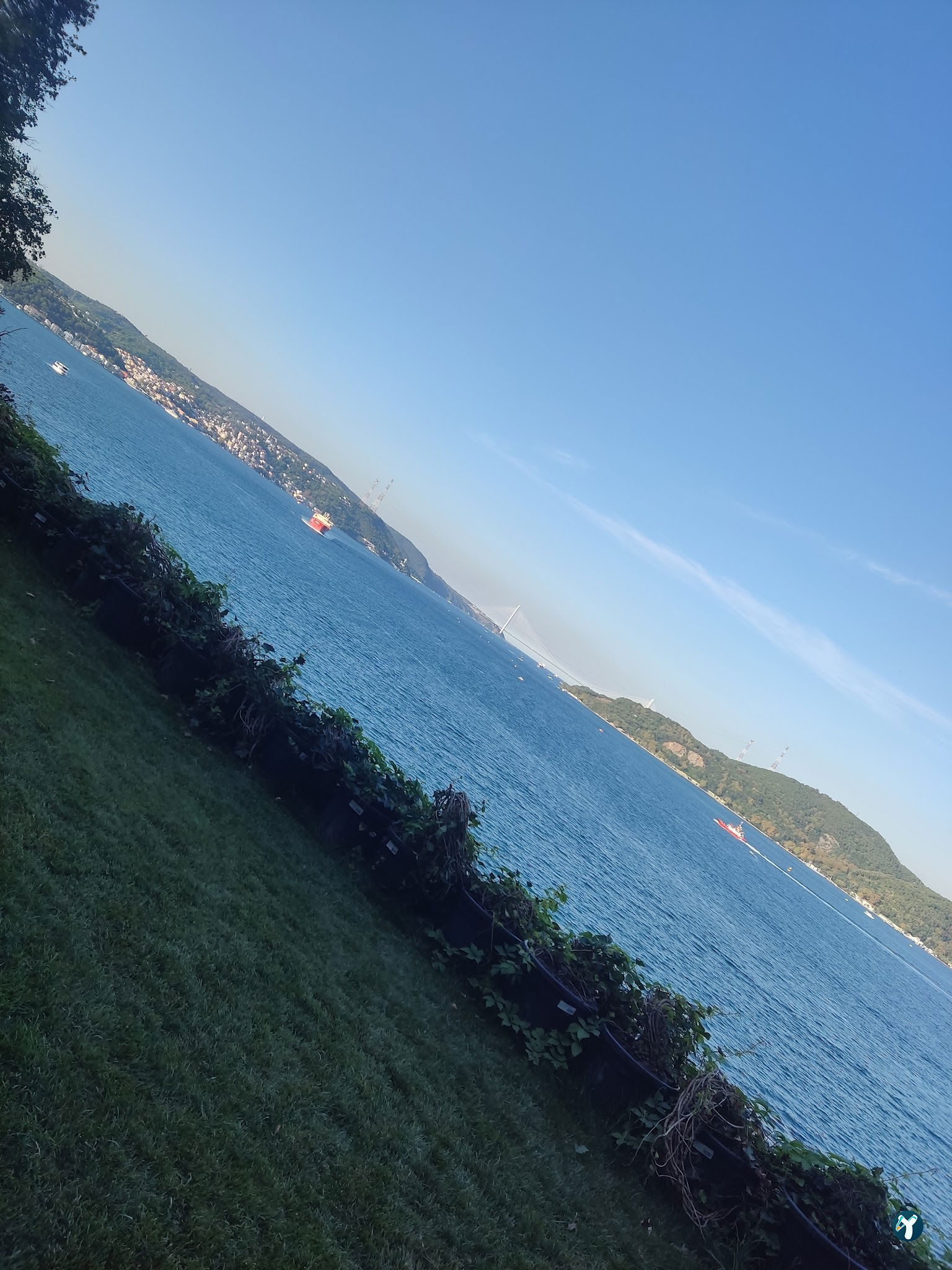 Cafe Bosphorus