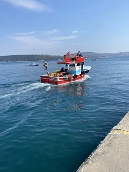 Cafe Bosphorus resimleri