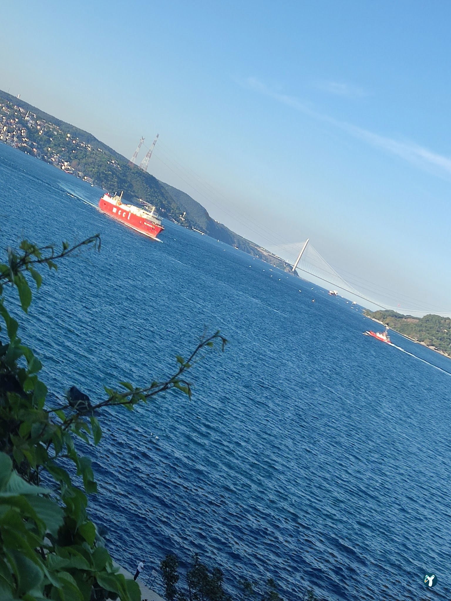 Cafe Bosphorus
