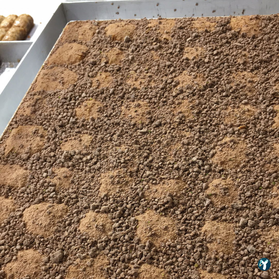 Gaziantep Baklavacısı Çaparoğulları