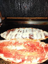 Kanarya tost salonu
