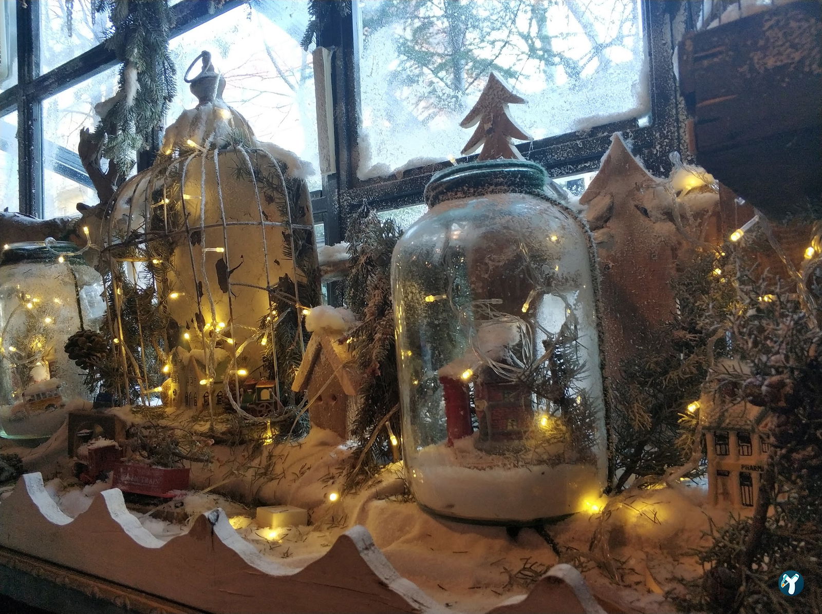 Cafe Botanica