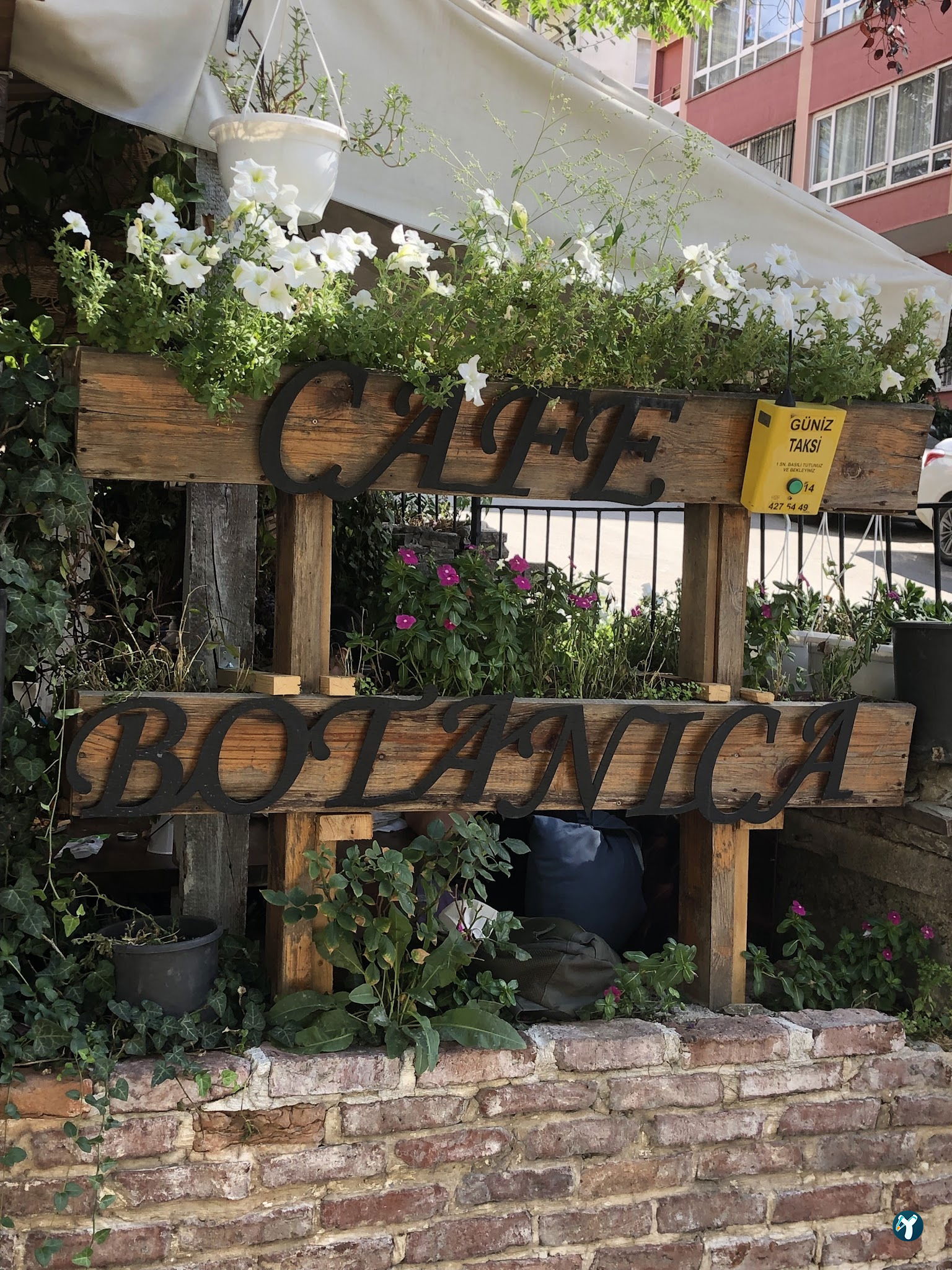 Cafe Botanica