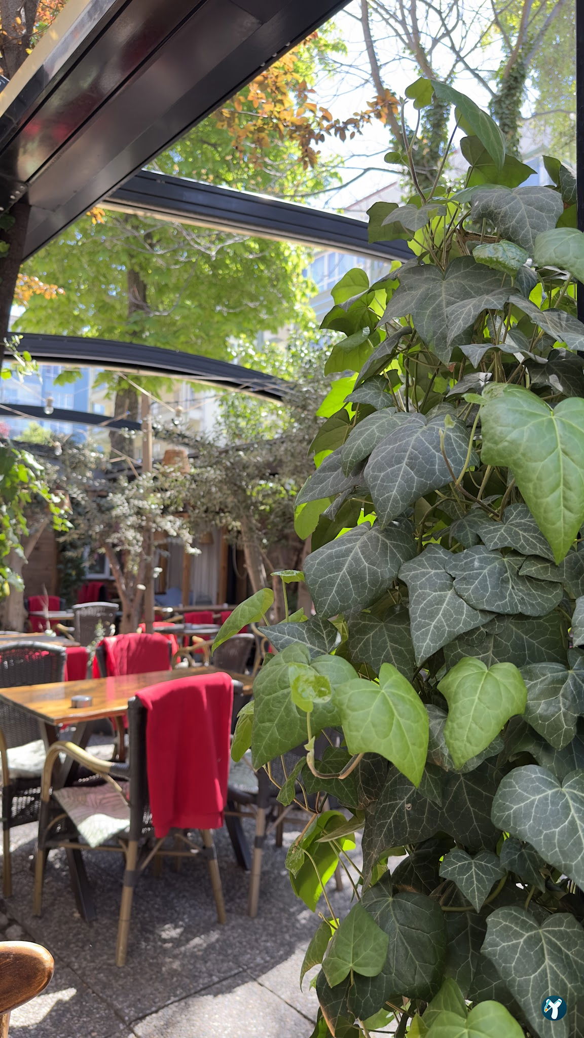 Cafe Botanica