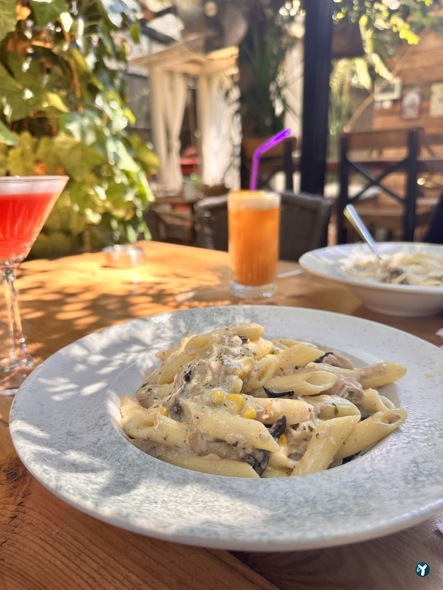 Cafe Botanica