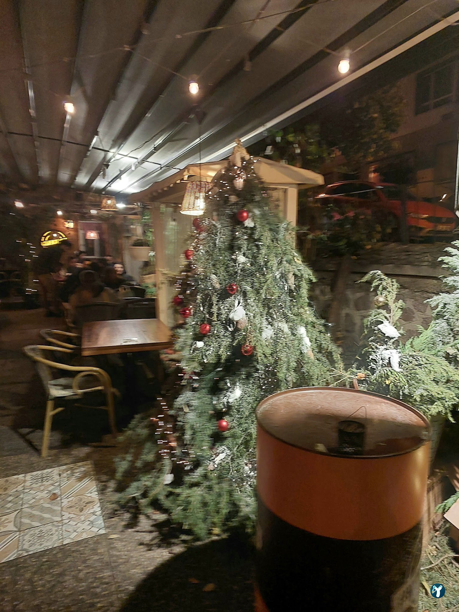Cafe Botanica