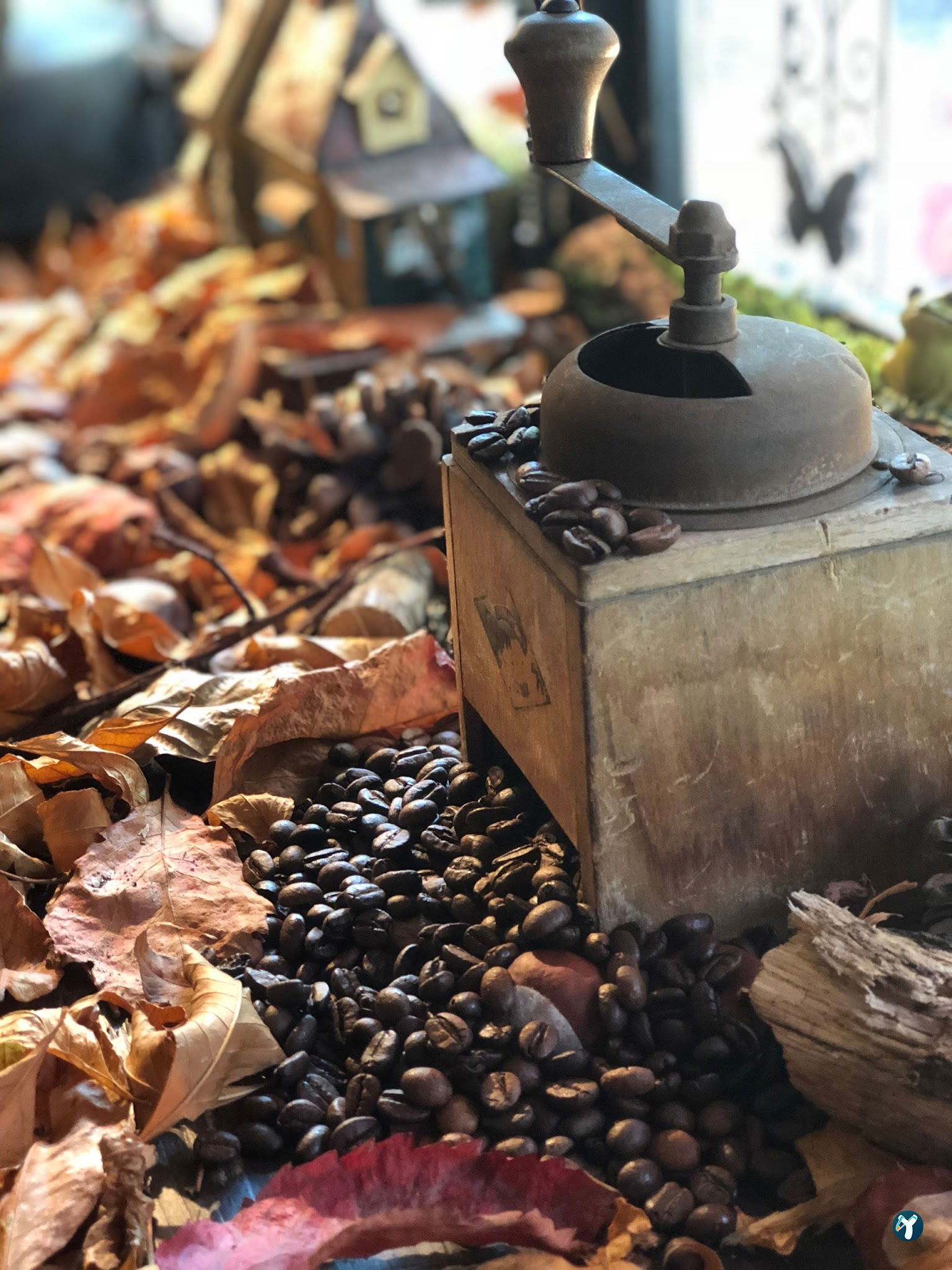 Cafe Botanica