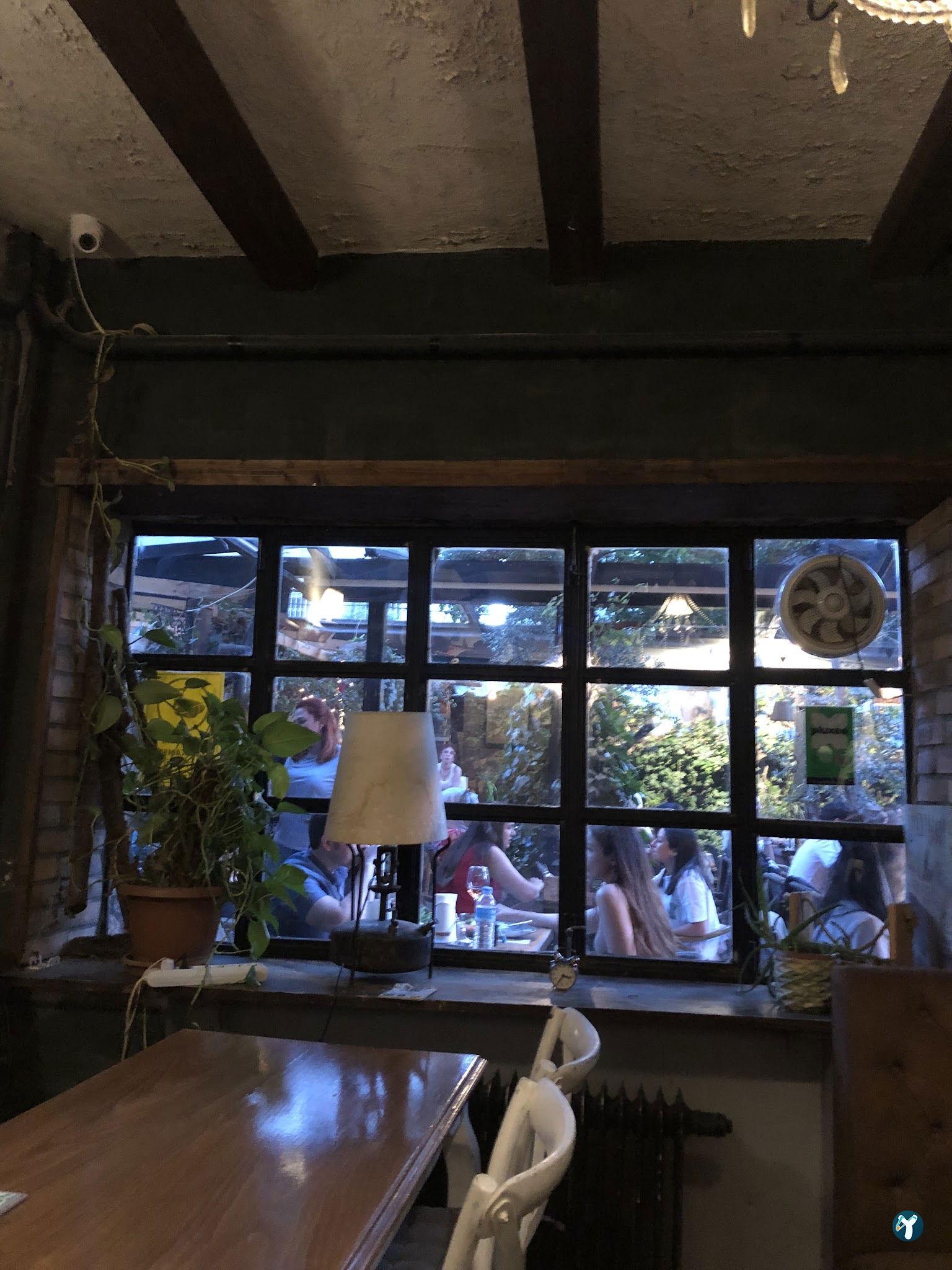 Cafe Botanica