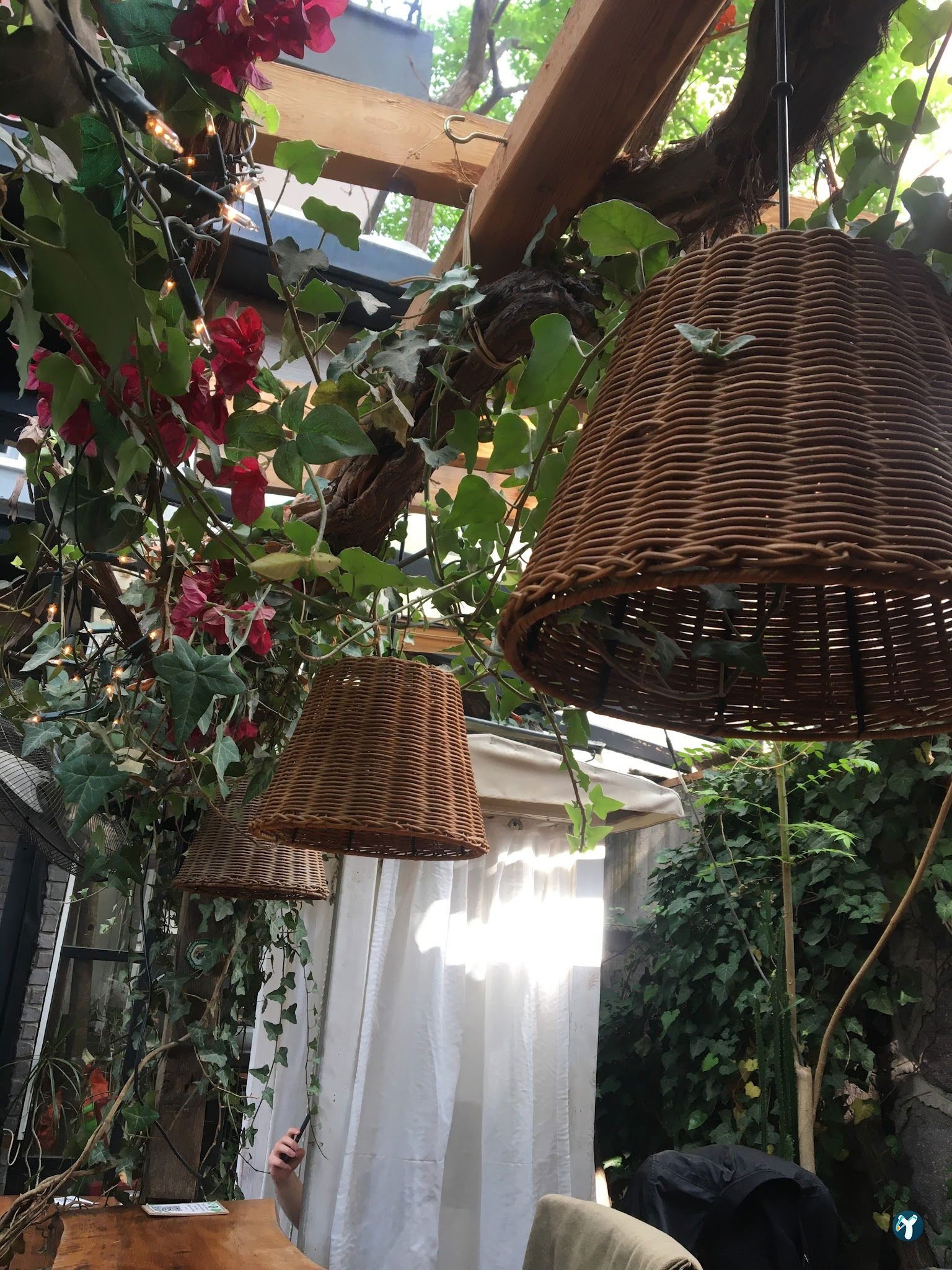 Cafe Botanica