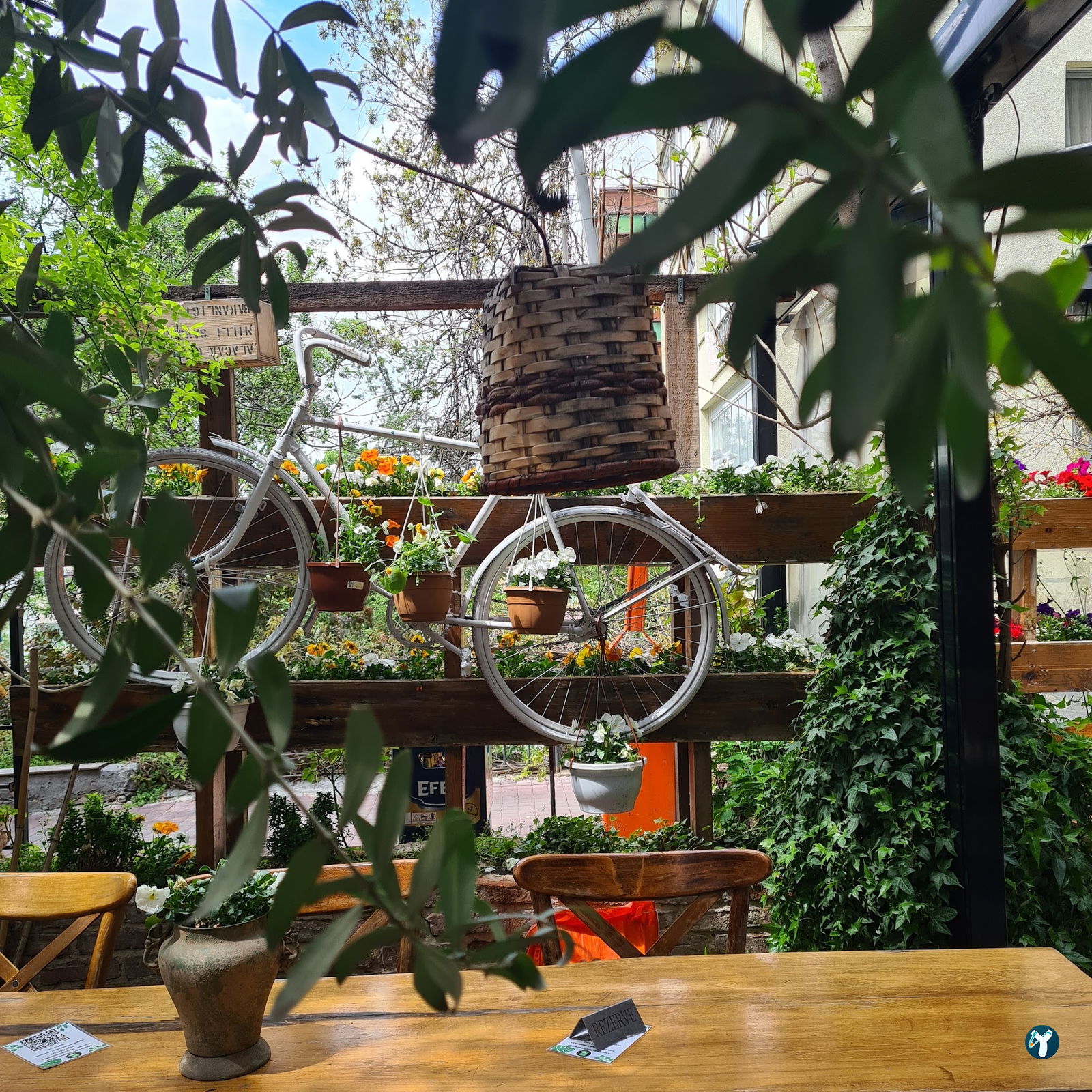 Cafe Botanica