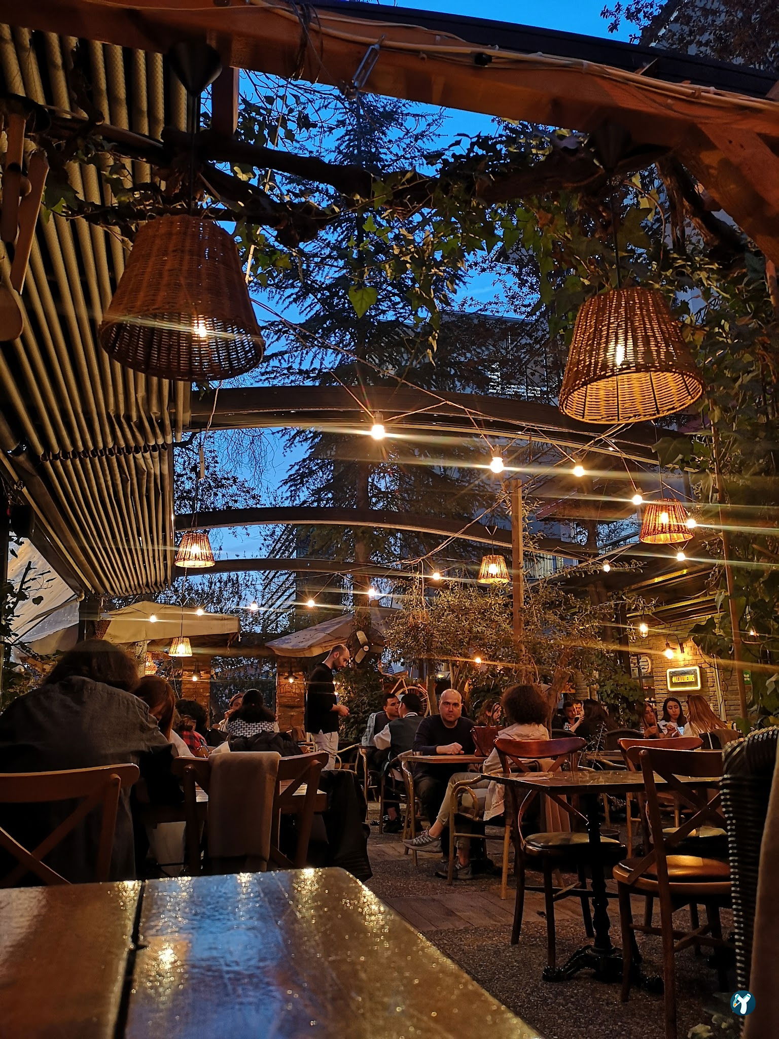 Cafe Botanica