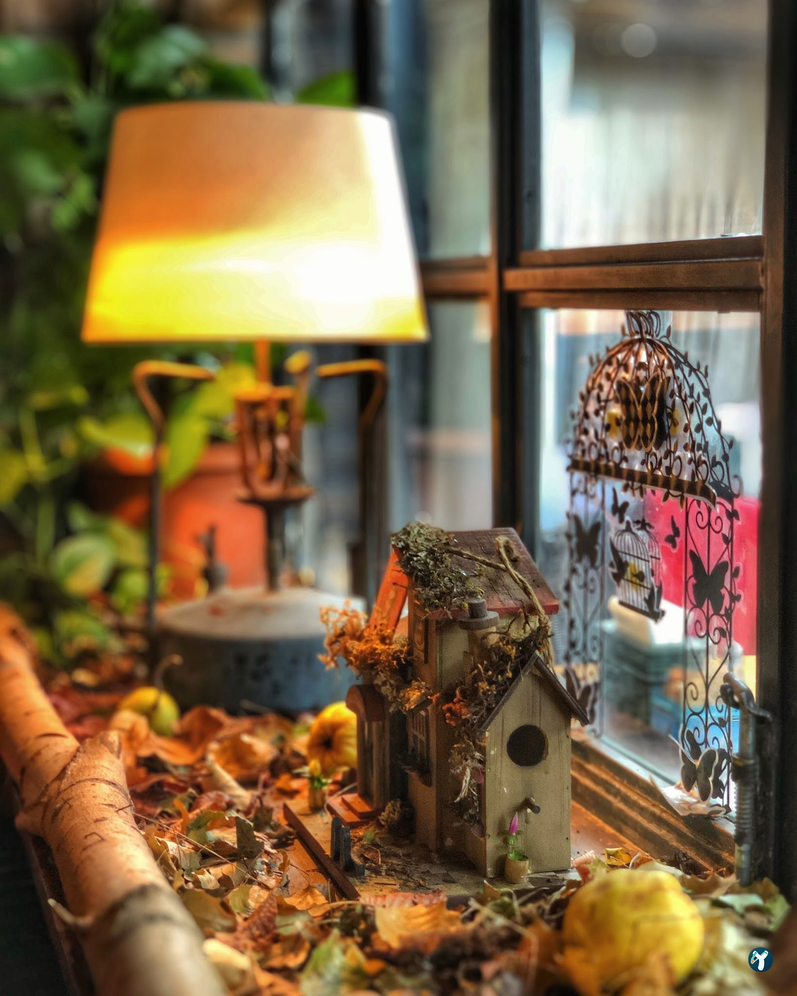 Cafe Botanica