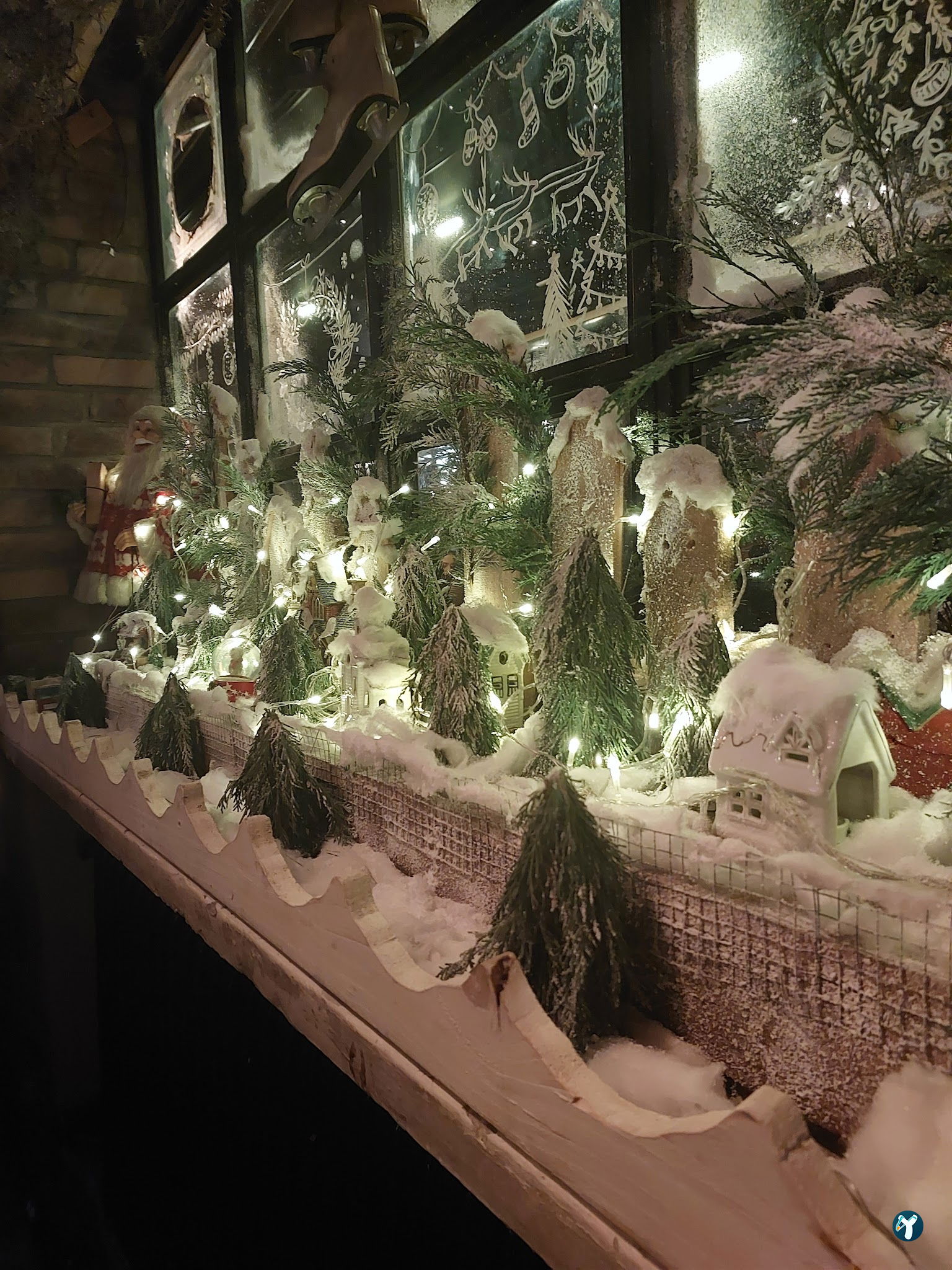 Cafe Botanica