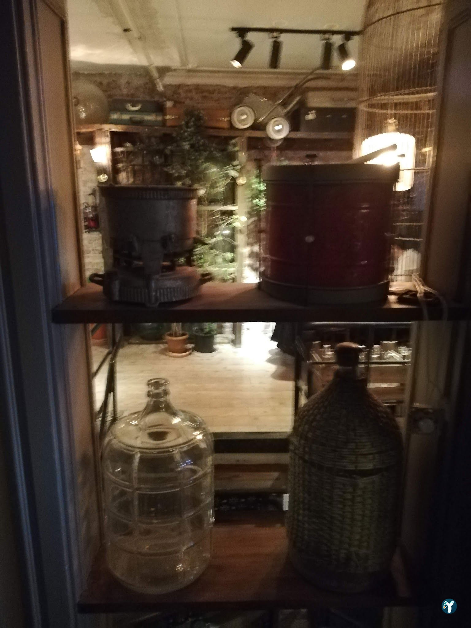 Cafe Botanica