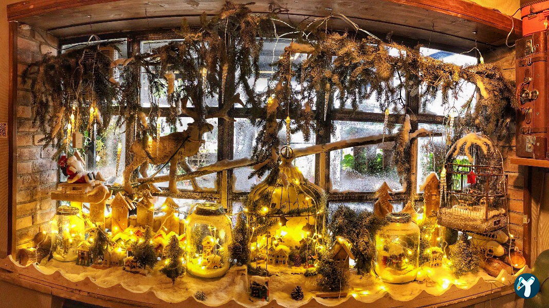 Cafe Botanica