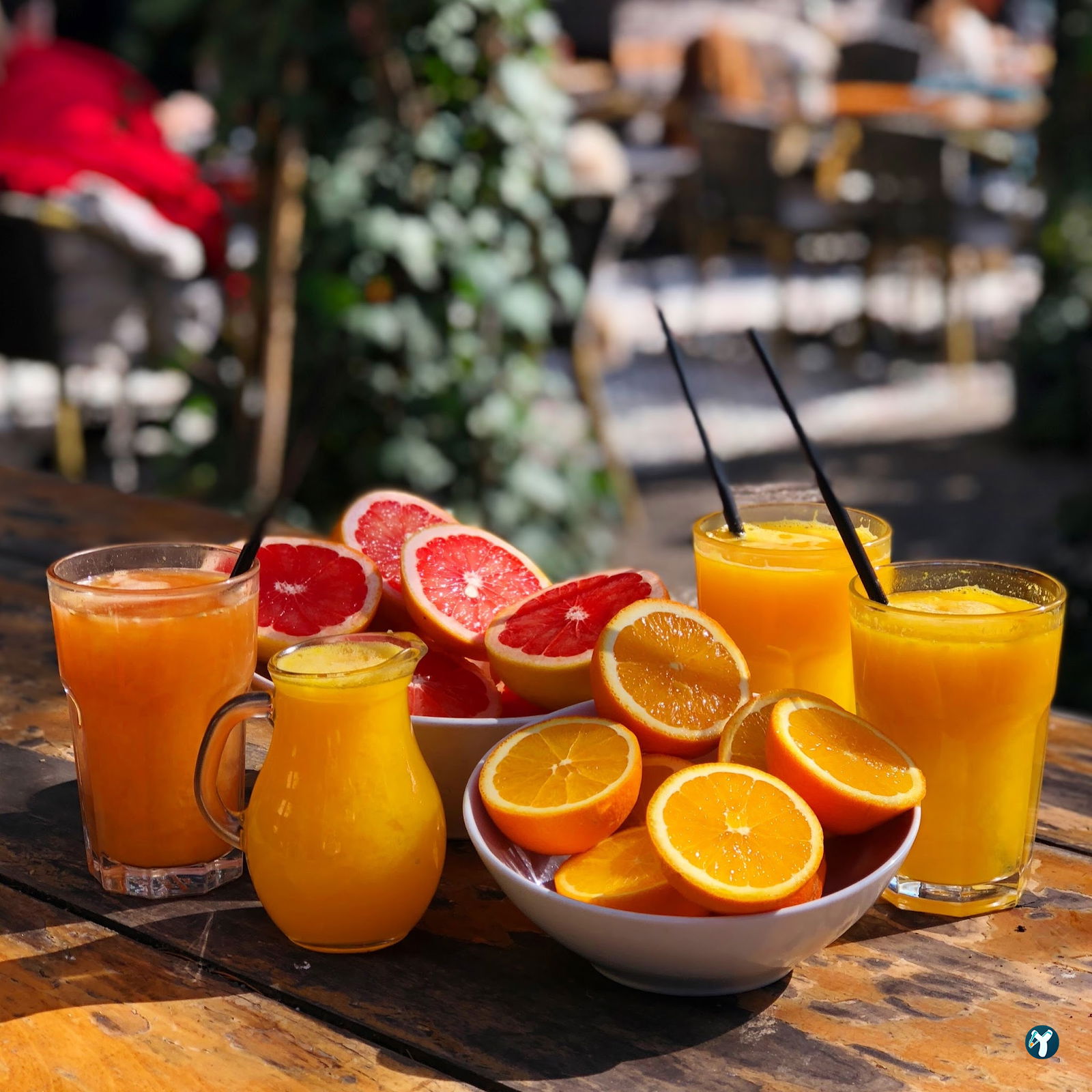 Cafe Botanica