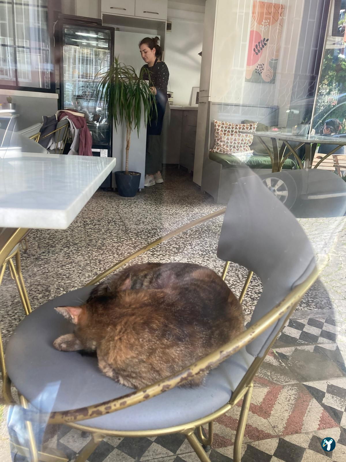 Fine Pastry & Atelier