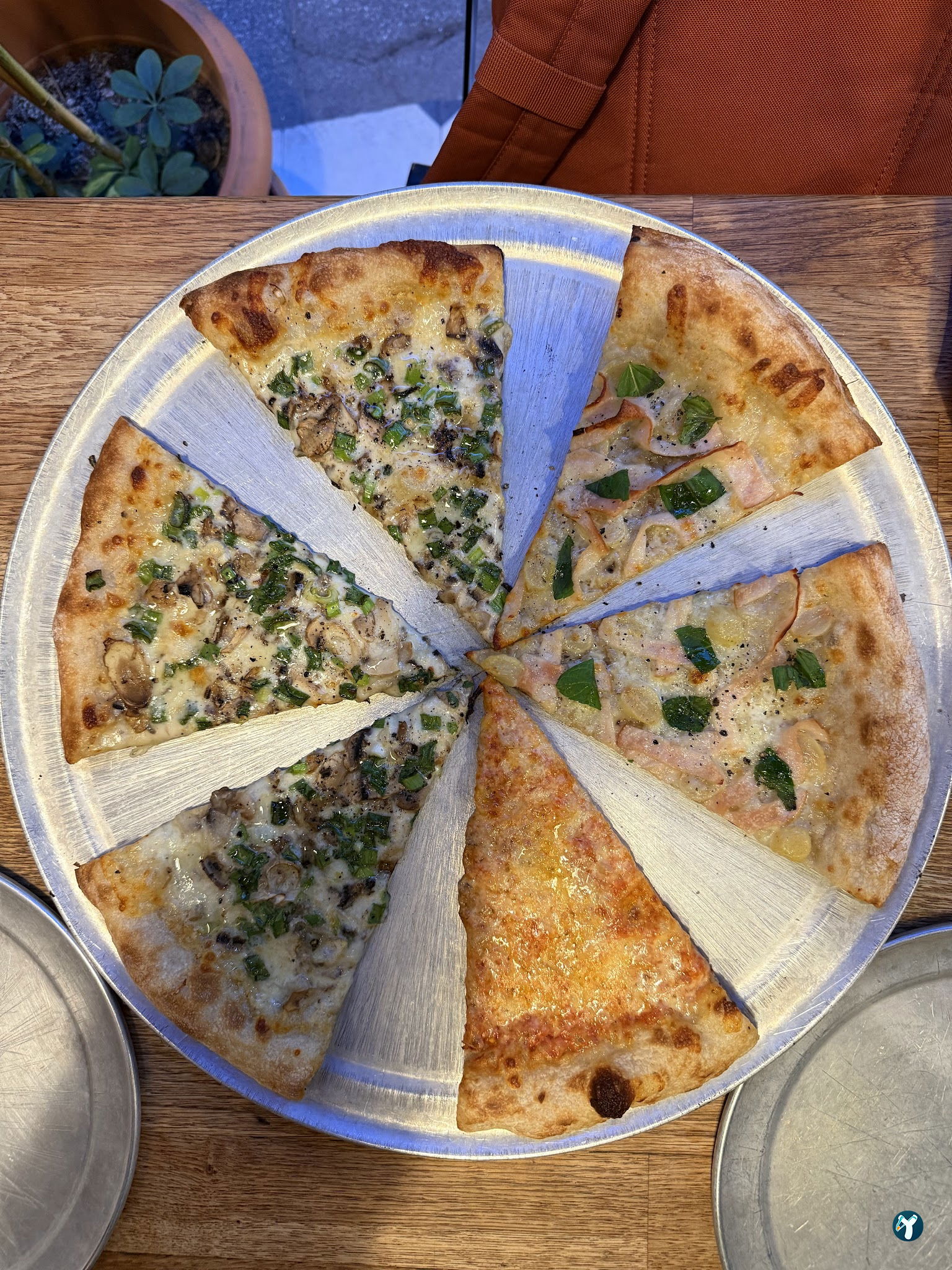 Everyday Pizza