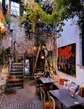 Kırmızı Ardıç Kuşu resimleri