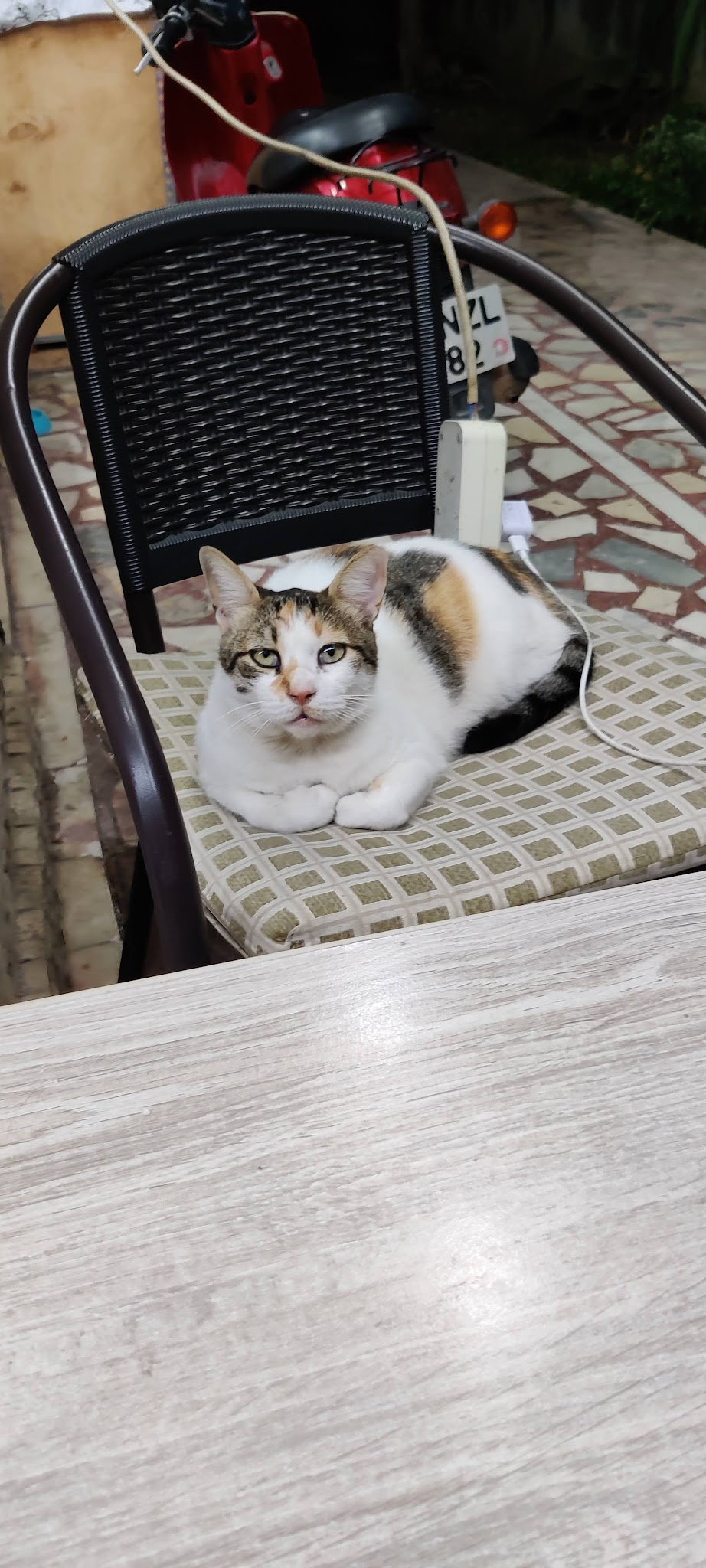 Ottoman Cafe