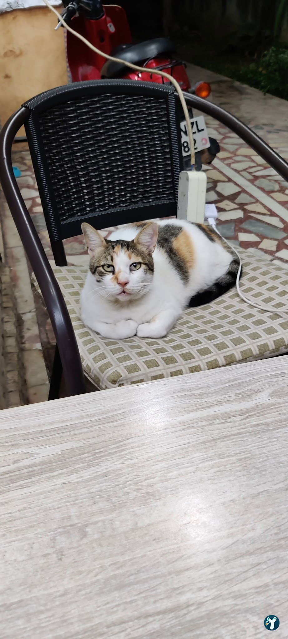 Ottoman Cafe
