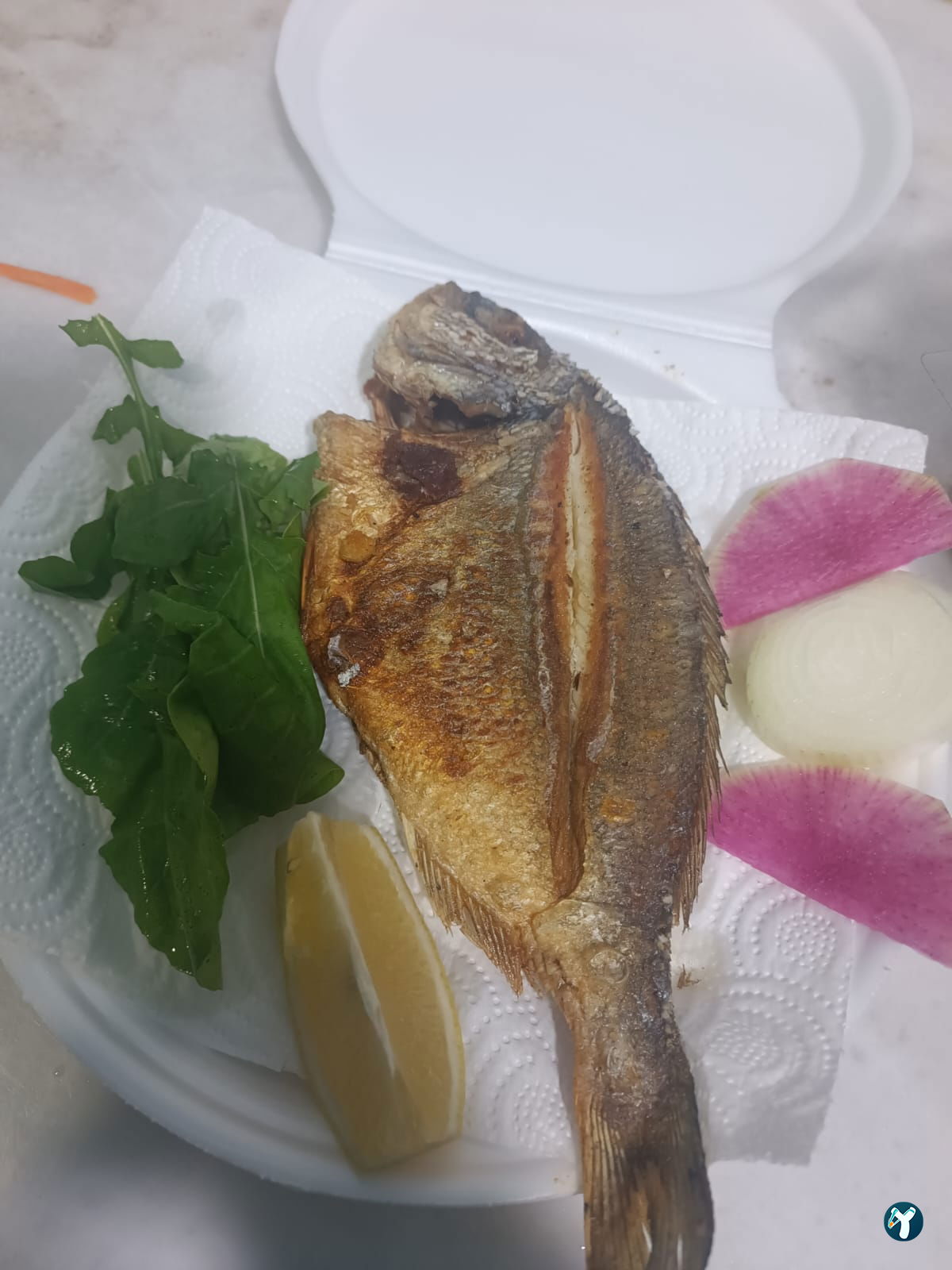 Mavi Yelken Balık Manav Ve Pişirme Evi
