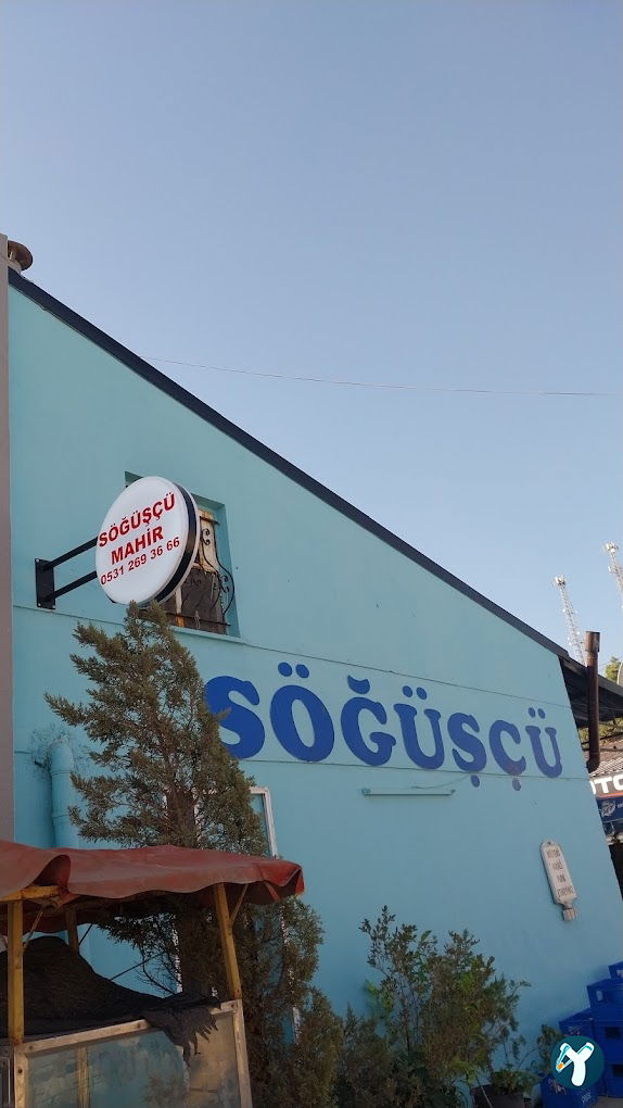 Söğüşçü Mahi̇r