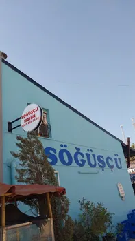 Söğüşçü Mahi̇r resimleri