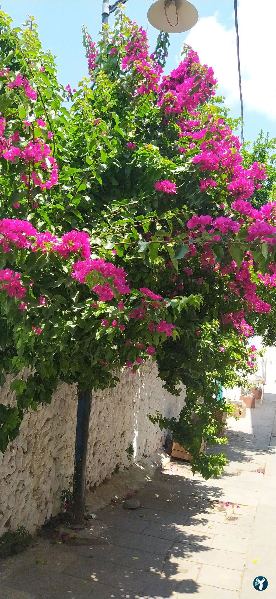 Milta Bodrum Marina