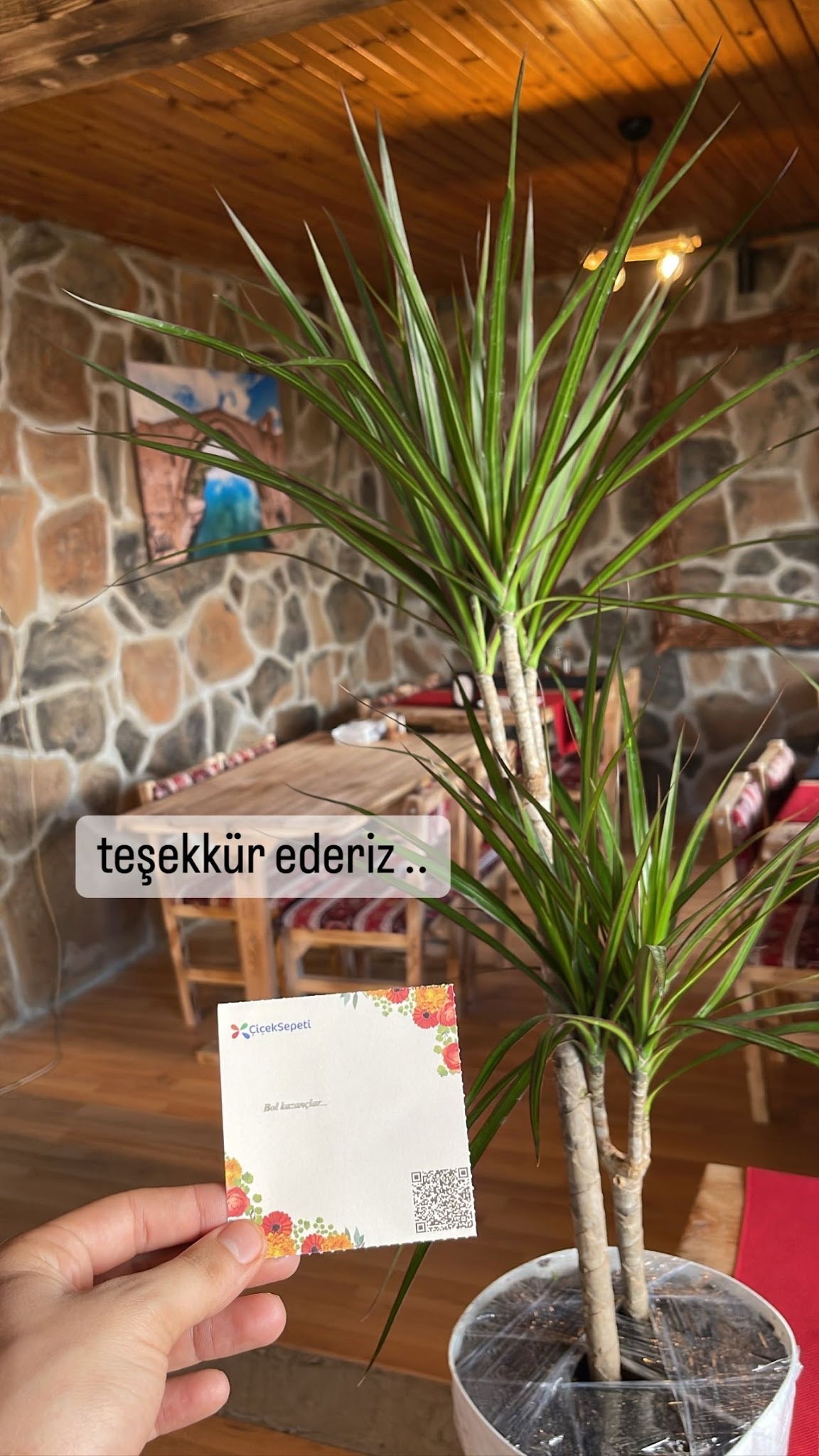 Malabadi Dağkapı Ciğerci