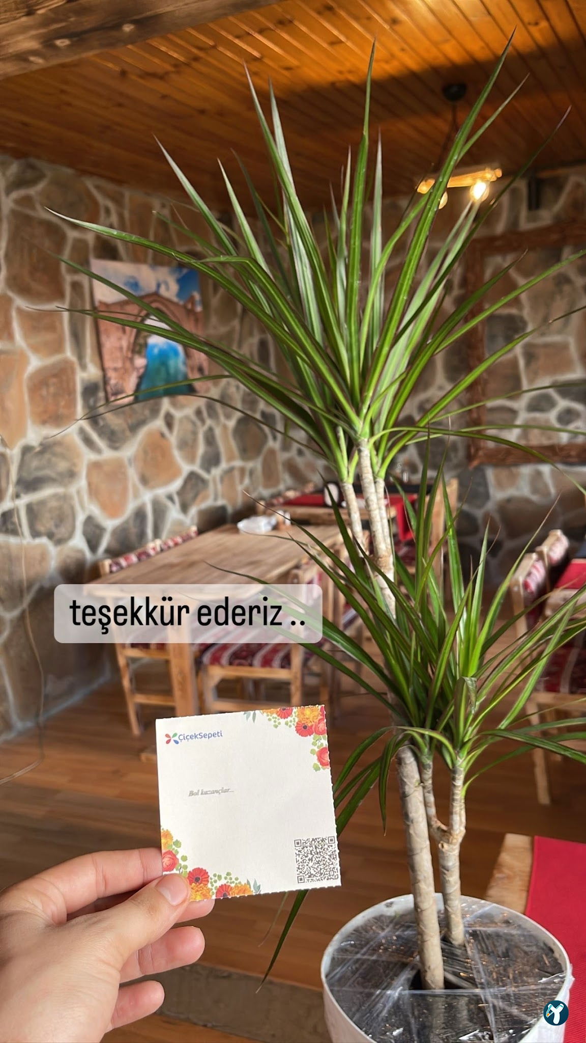 Malabadi Dağkapı Ciğerci