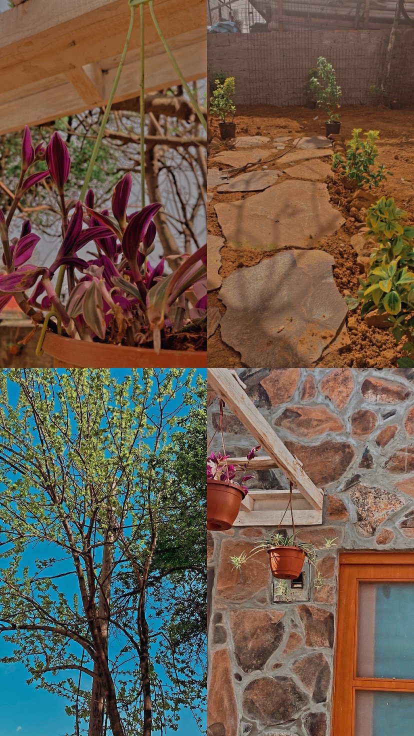 Malabadi Dağkapı Ciğerci