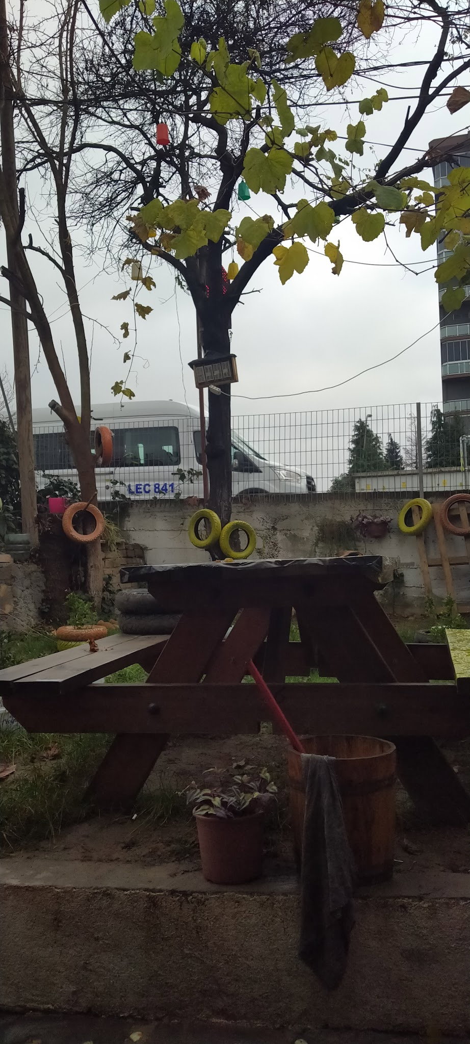 Malabadi Dağkapı Ciğerci