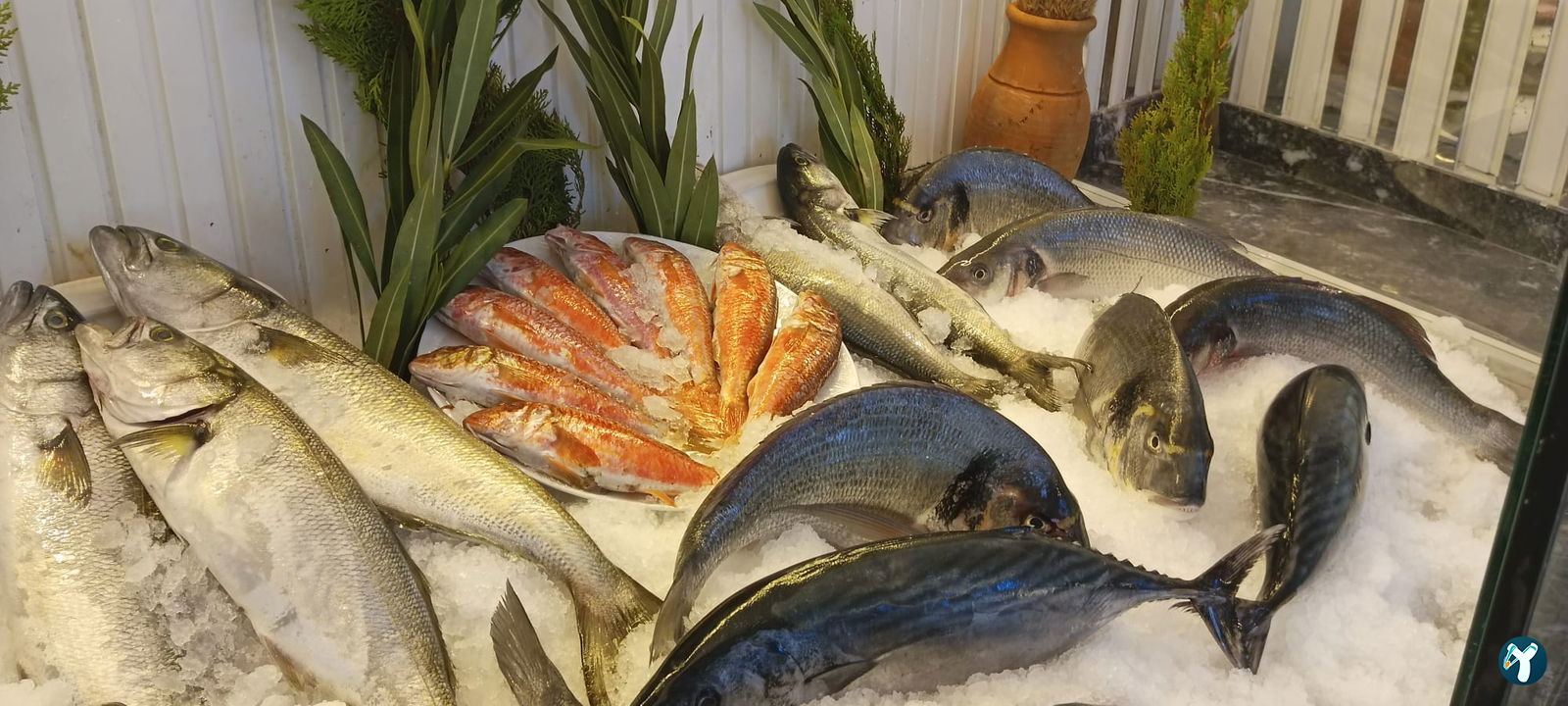 Iskarmoz Restaurant