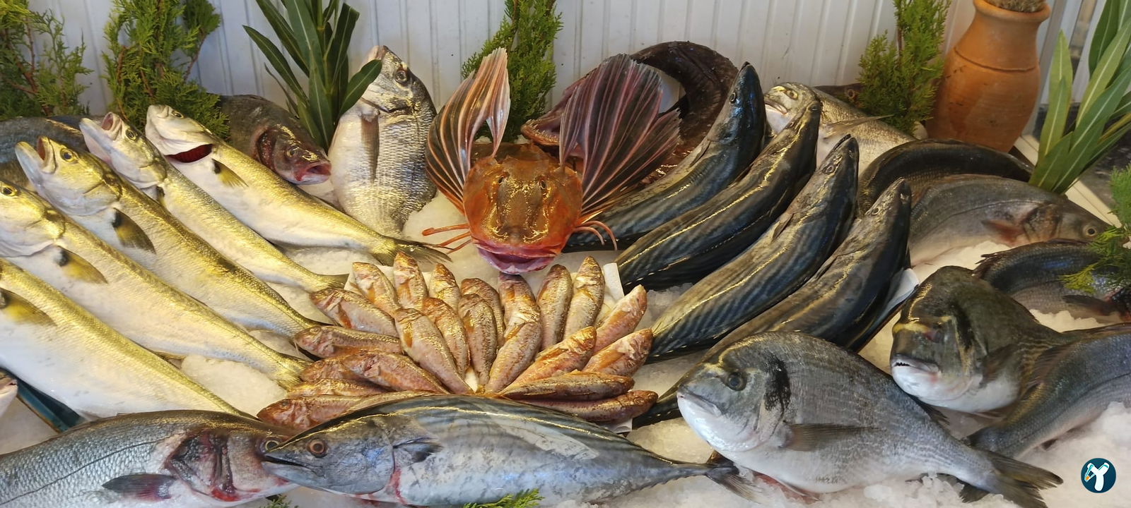 Iskarmoz Restaurant