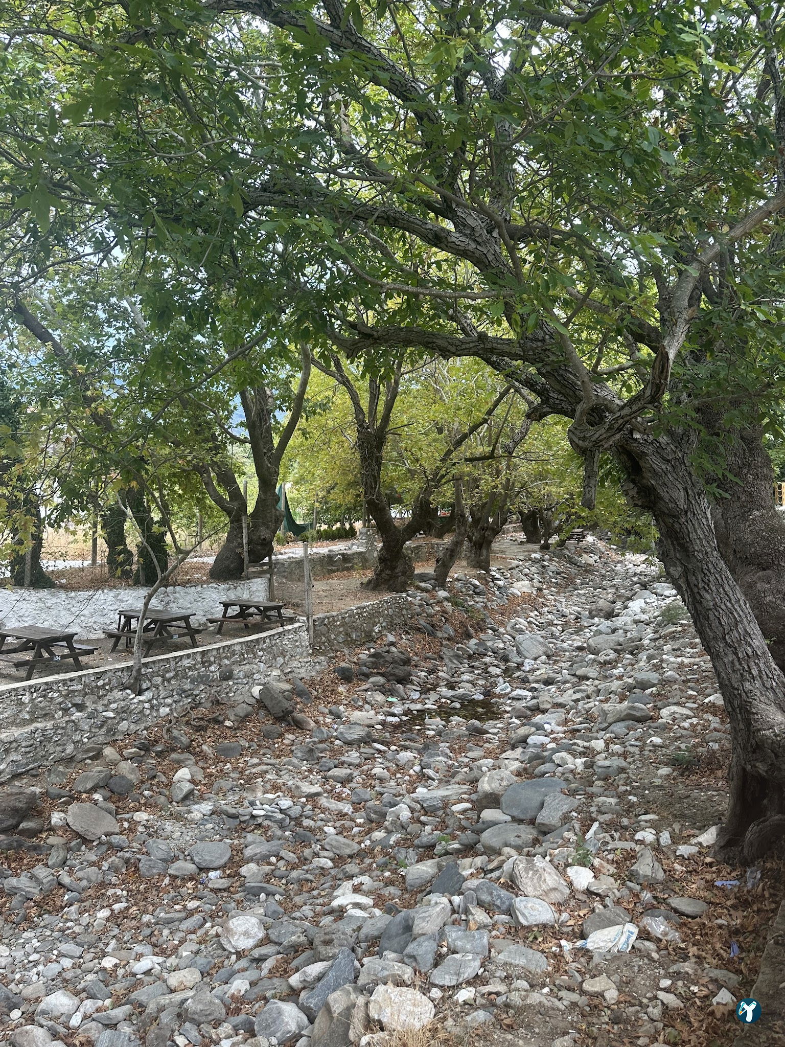 Arsa - Food, Garden & More