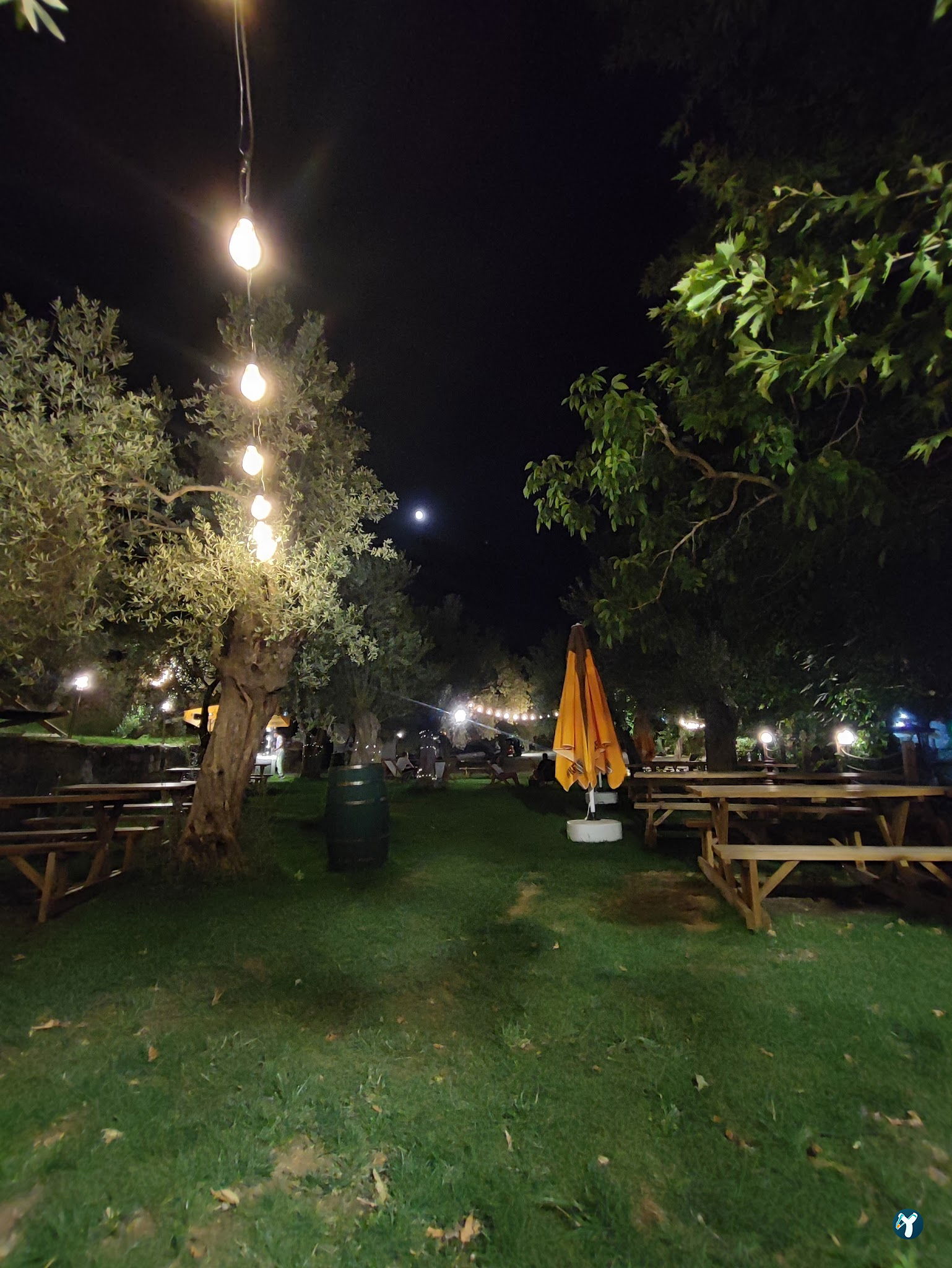 Arsa - Food, Garden & More