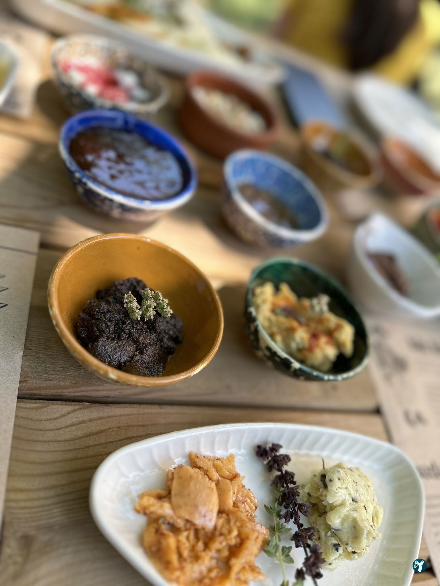 Arsa - Food, Garden & More