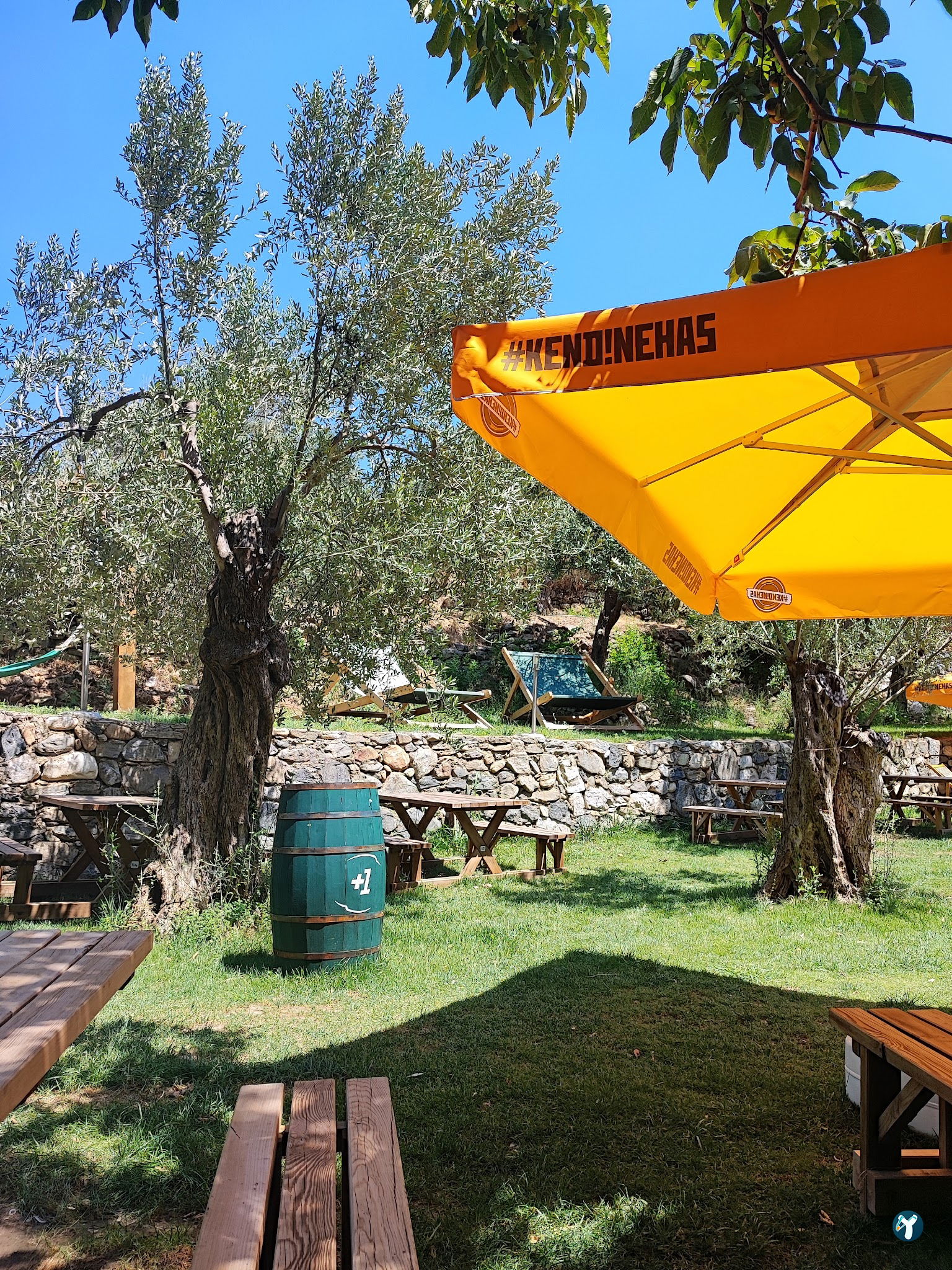 Arsa - Food, Garden & More