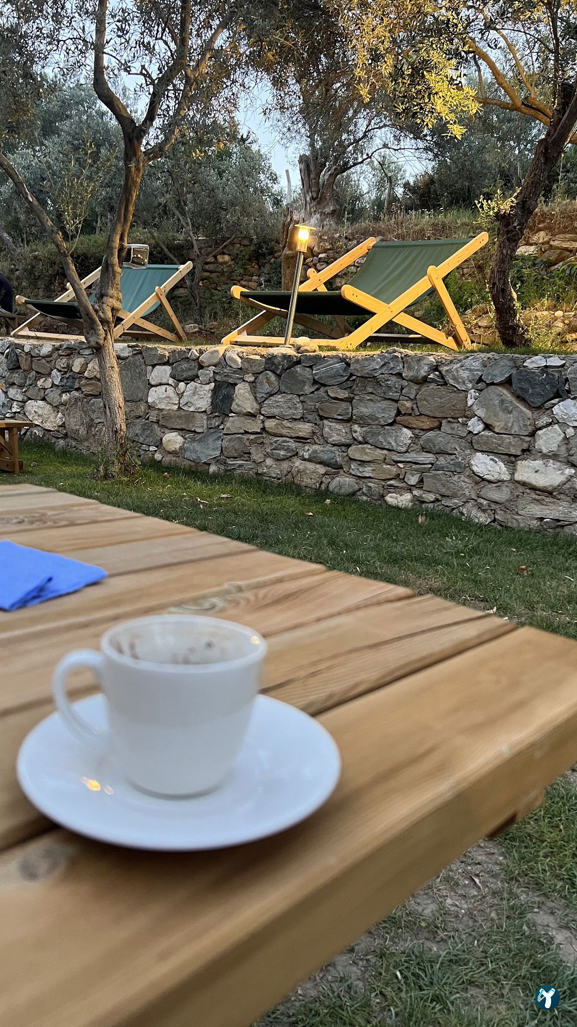 Arsa - Food, Garden & More