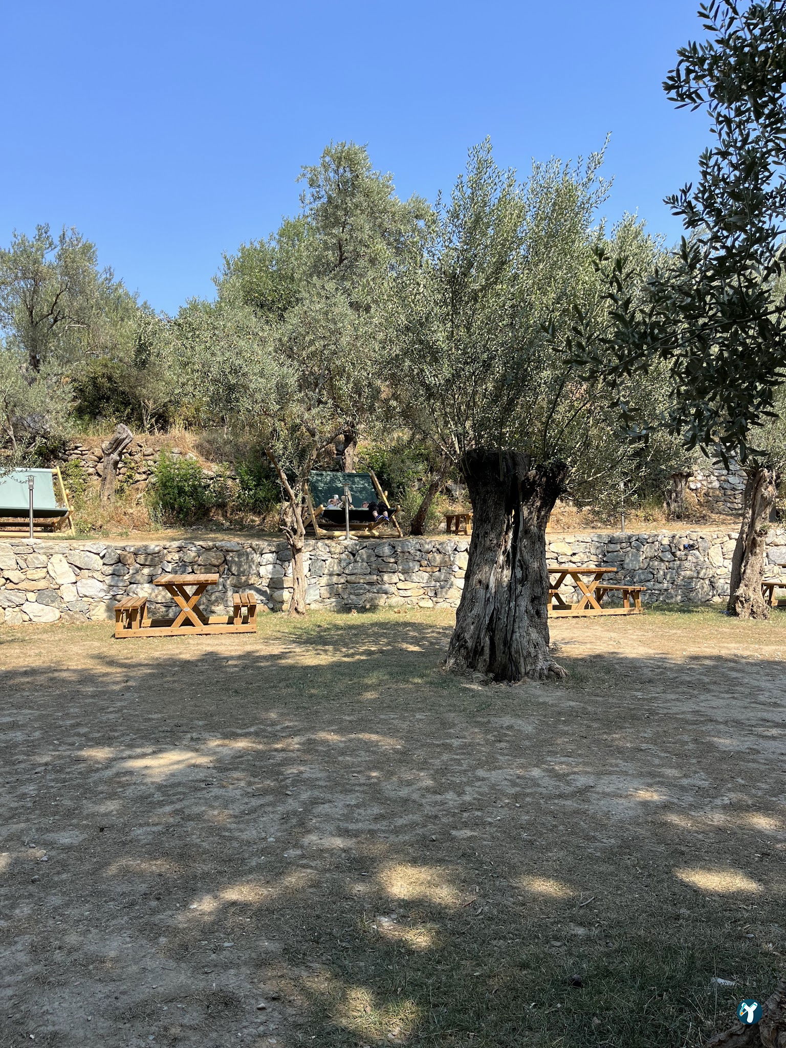 Arsa - Food, Garden & More